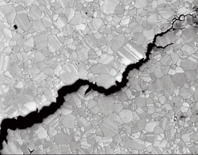 Hydrogen Embl Test